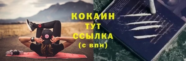не бодяженный Алексин