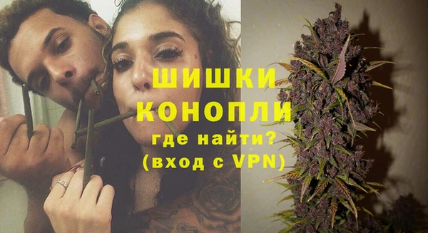 амф Алзамай