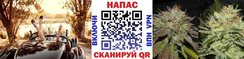 Марихуана Amnesia  Себеж 